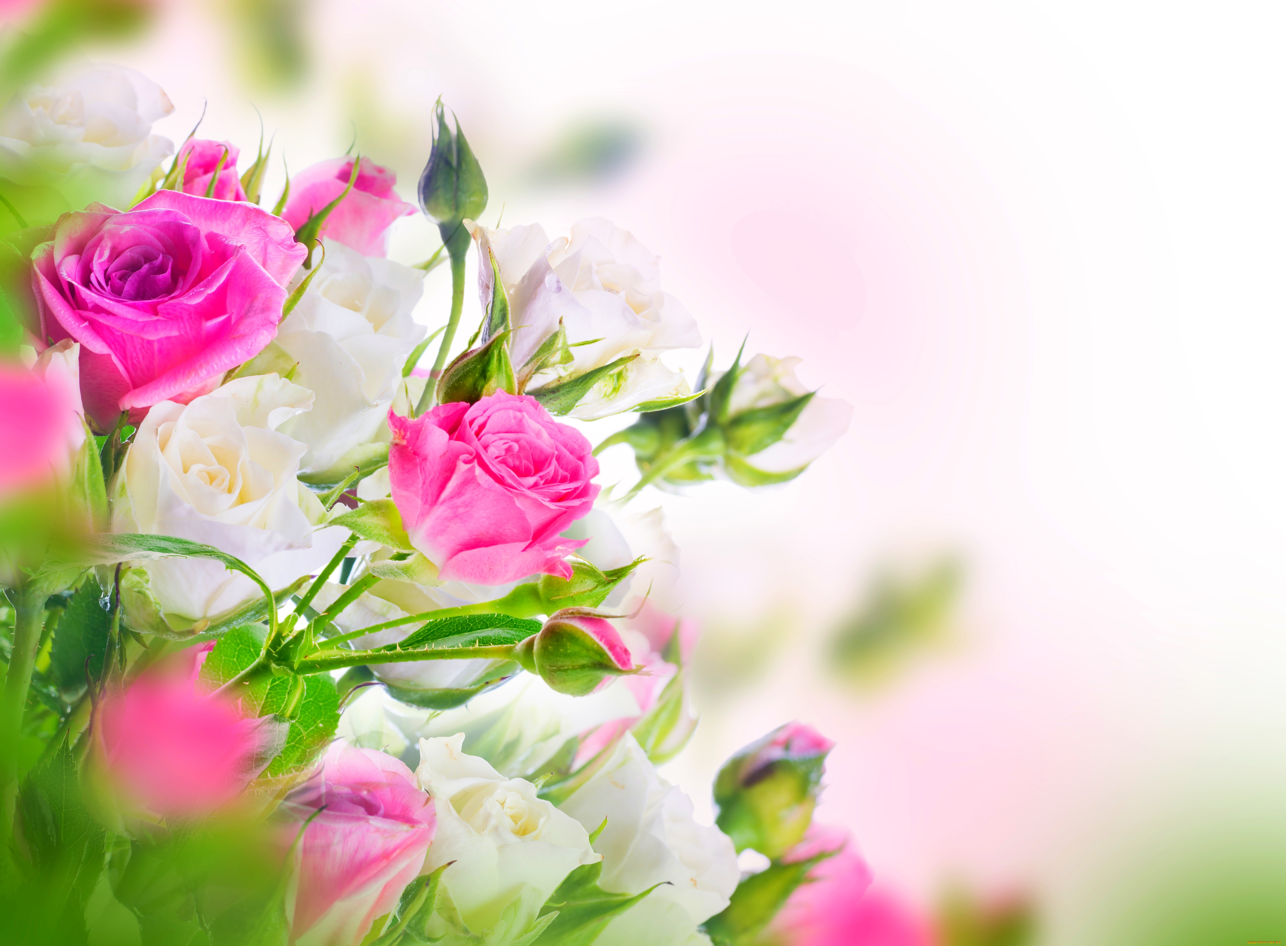 Открытка с днем рождения женщине с цветами